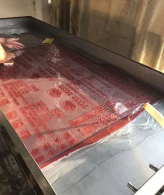 エコグラフィックス オールインワンモデル フレクソプレート 開発マシン プロセッサ